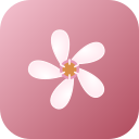 Sakura Macaron